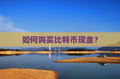 如何购买比特币现金？-第1张图片-币圈网