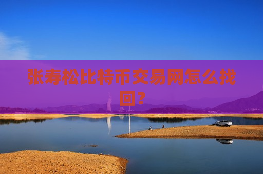 张寿松比特币交易网怎么找回？-第1张图片-币圈网
