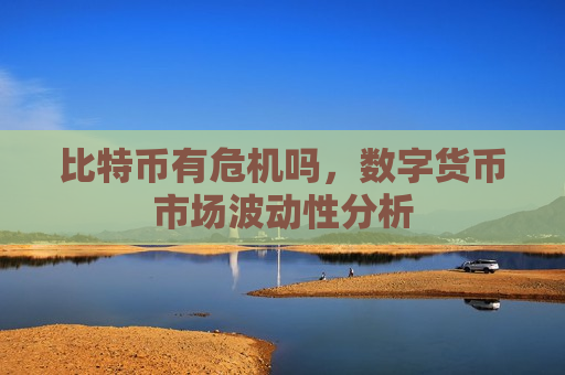 比特币有危机吗，数字货币市场波动性分析