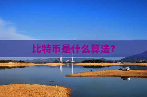 比特币是什么算法?-第1张图片-币圈网 比特币是什么算法?-第1张图片-币圈网