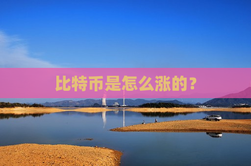 比特币是怎么涨的？-第1张图片-币圈网