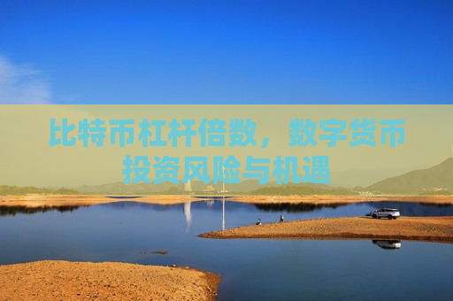 比特币杠杆倍数，数字货币投资风险与机遇