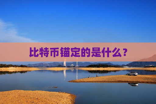 比特币锚定的是什么？-第1张图片-币圈网