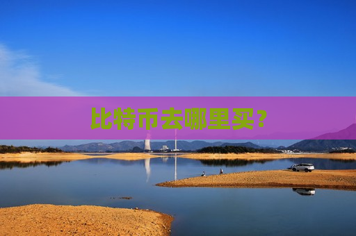 比特币去哪里买？-第1张图片-币圈网