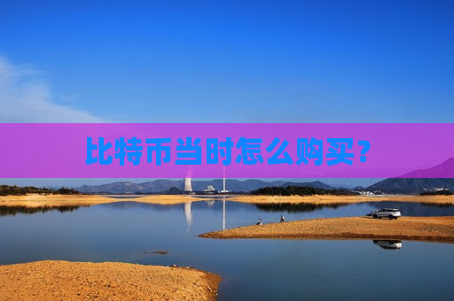 比特币当时怎么购买？-第1张图片-币圈网