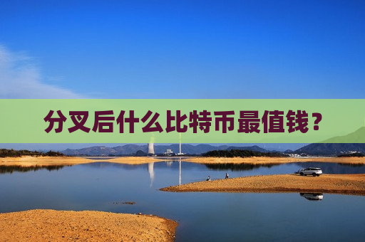 分叉后什么比特币最值钱?-第1张图片-币圈网 分叉后什么比特币最值钱?-第1张图片-币圈网