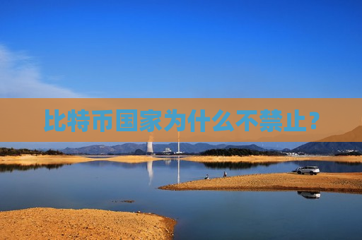 比特币国家为什么不禁止?-第1张图片-币圈网 比特币国家为什么不禁止?-第1张图片-币圈网