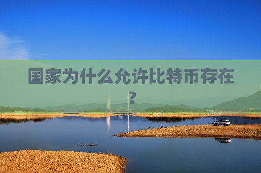 国家为什么允许比特币存在？-第1张图片-币圈网