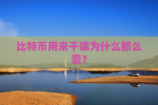 比特币用来干嘛为什么那么贵？-第1张图片-币圈网