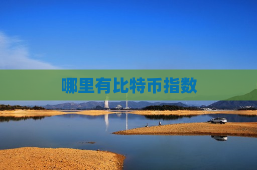 哪里有比特币指数-第1张图片-币圈网