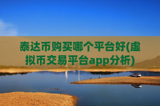 泰达币购买哪个平台好(虚拟币交易平台app分析)