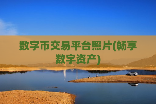 数字币交易平台照片(畅享数字资产)-第1张图片-币圈网