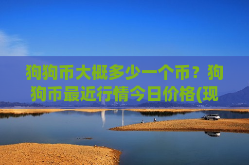 狗狗币大概多少一个币？狗狗币最近行情今日价格(现价2.9092元)-第1张图片-币圈网