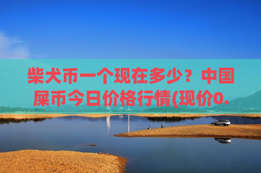 柴犬币一个现在多少？中国屎币今日价格行情(现价0.0001969元)-第1张图片-币圈网