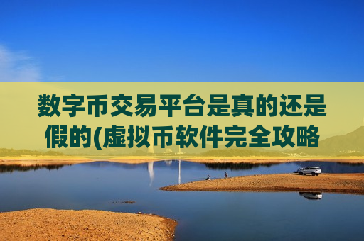 数字币交易平台是真的还是假的(虚拟币软件完全攻略)-第1张图片-币圈网