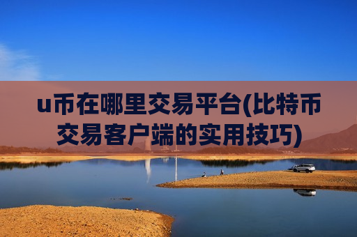 u币在哪里交易平台(比特币交易客户端的实用技巧)
