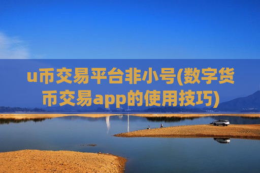 u币交易平台非小号(数字货币交易app的使用技巧)