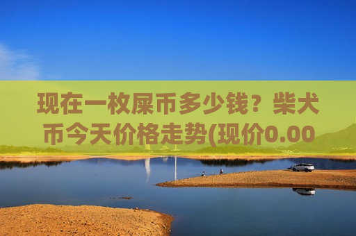 现在一枚屎币多少钱?柴犬币今天价格走势(现价0.00019769元)-第1张图片-币圈网 现在一枚屎币多少钱?柴犬币今天价格走势(现价0.00019769元)-第1张图片-币圈网