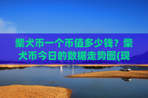 柴犬币一个币值多少钱？柴犬币今日的数据走势图(现价0.00019769元)-第1张图片-币圈网