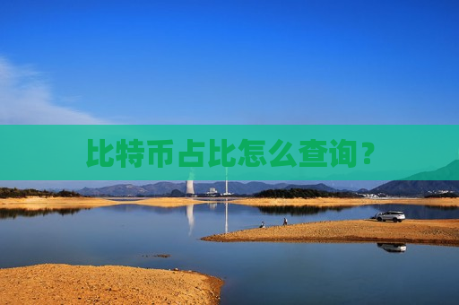 比特币占比怎么查询?-第1张图片-币圈网 比特币占比怎么查询?-第1张图片-币圈网