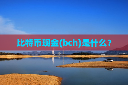 比特币现金(bch)是什么？-第1张图片-币圈网