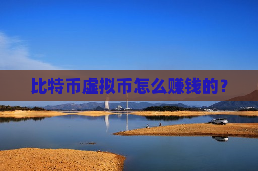 比特币虚拟币怎么赚钱的？-第1张图片-币圈网