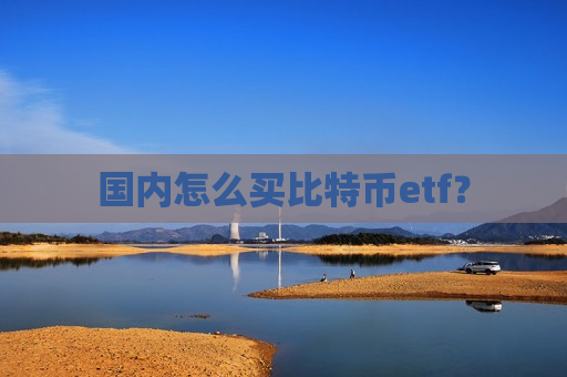 国内怎么买比特币etf?-第1张图片-币圈网 国内怎么买比特币etf?-第1张图片-币圈网