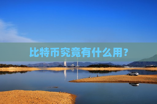 比特币究竟有什么用？-第1张图片-币圈网