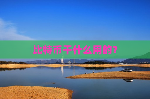 比特币干什么用的?-第1张图片-币圈网 比特币干什么用的?-第1张图片-币圈网