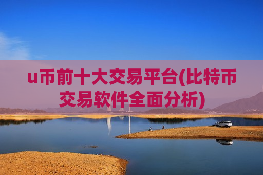 u币前十大交易平台(比特币交易软件全面分析)
