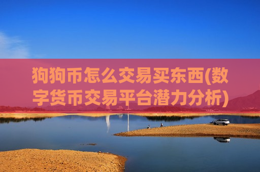 狗狗币怎么交易买东西(数字货币交易平台潜力分析)