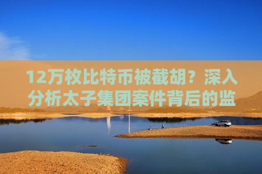 12万枚比特币被截胡?深入分析太子集团案件背后的监管困境-第1张图片-币圈网 12万枚比特币被截胡?深入分析太子集团案件背后的监管困境-第1张图片-币圈网