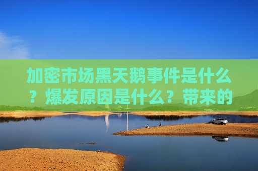 加密市场黑天鹅事件是什么?爆发原因是什么?带来的启示以及预防风险的方法-第1张图片-币圈网 加密市场黑天鹅事件是什么?爆发原因是什么?带来的启示以及预防风险的方法-第1张图片-币圈网