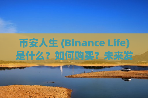 币安人生 (Binance Life)是什么？如何购买？未来发展怎么样？为何迅速红遍币圈？-第1张图片-币圈网