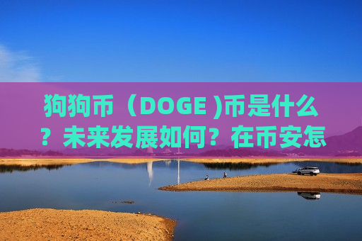 狗狗币（DOGE )币是什么？未来发展如何？在币安怎么买？-第1张图片-币圈网
