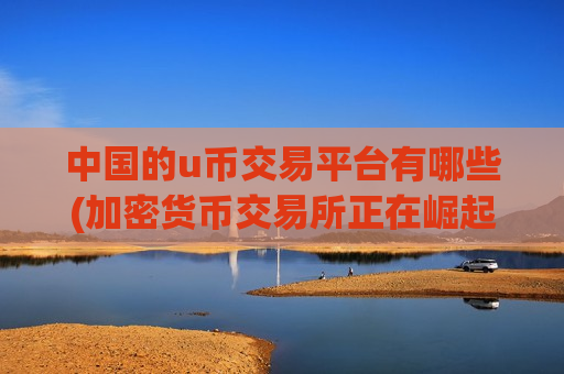 中国的u币交易平台有哪些(加密货币交易所正在崛起)-第1张图片-币圈网 中国的u币交易平台有哪些(加密货币交易所正在崛起)-第1张图片-币圈网