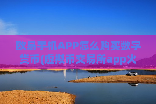 欧易手机APP怎么购买数字货币(虚拟币交易所app火爆上线)