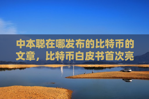 中本聪在哪发布的比特币的文章，比特币白皮书首次亮相网络论坛-第1张图片-币圈网