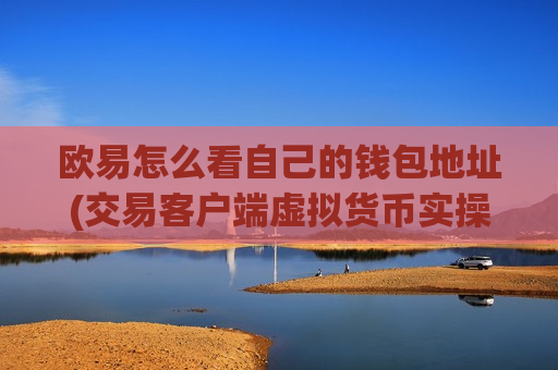 欧易怎么看自己的钱包地址(交易客户端虚拟货币实操)-第1张图片-币圈网