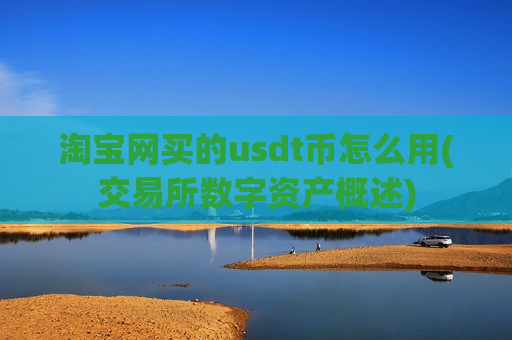 淘宝网买的usdt币怎么用(交易所数字资产概述)-第1张图片-币圈网 淘宝网买的usdt币怎么用(交易所数字资产概述)-第1张图片-币圈网