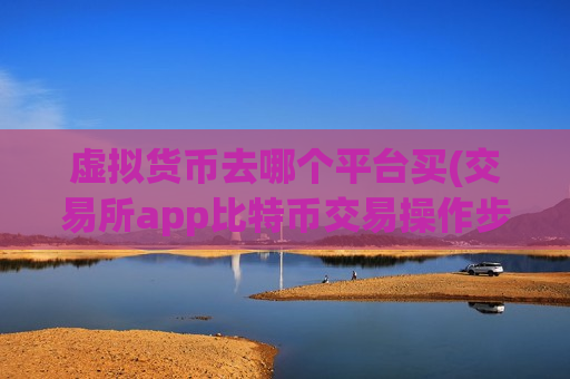 虚拟货币去哪个平台买(交易所app比特币交易操作步骤)-第1张图片-币圈网 虚拟货币去哪个平台买(交易所app比特币交易操作步骤)-第1张图片-币圈网