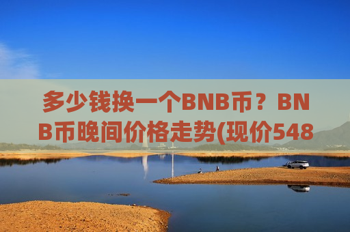 多少钱换一个BNB币？BNB币晚间价格走势(现价5485.3元)
