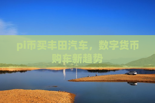 pi币买丰田汽车，数字货币购车新趋势
