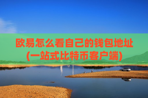 欧易怎么看自己的钱包地址(一站式比特币客户端)-第1张图片-币圈网