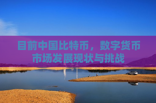 目前中国比特币,数字货币市场发展现状与挑战-第1张图片-币圈网 目前中国比特币,数字货币市场发展现状与挑战-第1张图片-币圈网