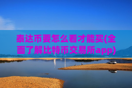 泰达币要怎么看才能买(全面了解比特币交易所app)-第1张图片-币圈网 泰达币要怎么看才能买(全面了解比特币交易所app)-第1张图片-币圈网