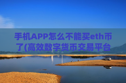 手机APP怎么不能买eth币了(高效数字货币交易平台)