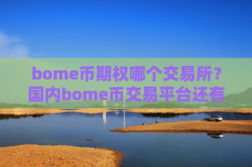 bome币期权哪个交易所?国内bome币交易平台还有吗-第1张图片-币圈网 bome币期权哪个交易所?国内bome币交易平台还有吗-第1张图片-币圈网