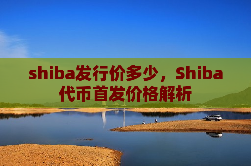 shiba发行价多少，Shiba代币首发价格解析