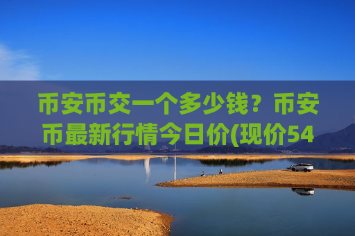 币安币交一个多少钱？币安币最新行情今日价(现价5460.21元)